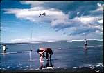 FishingatWaikukuBeach27.12.65.jpg